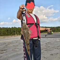 マゴチが釣れました!