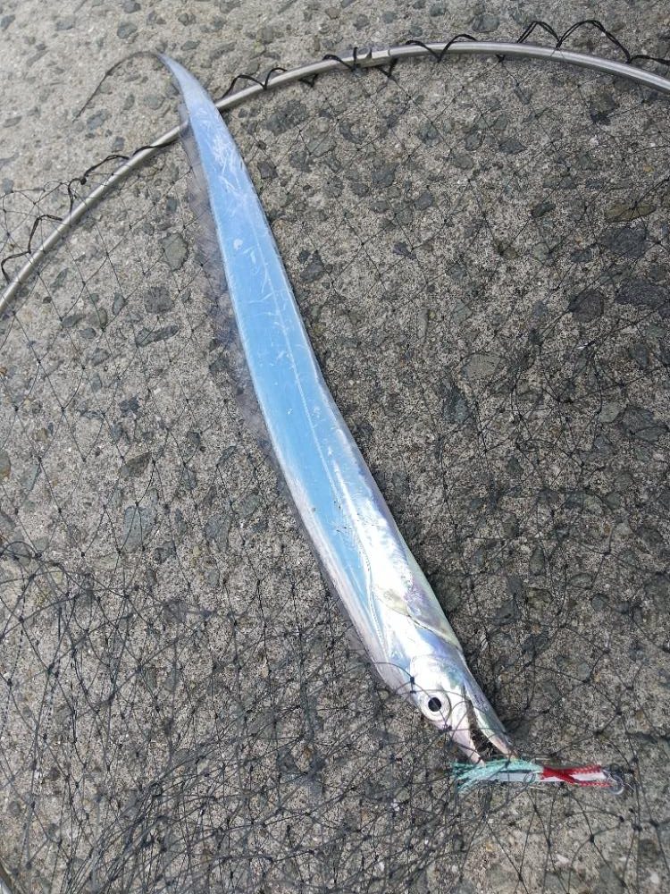 ショアジギング