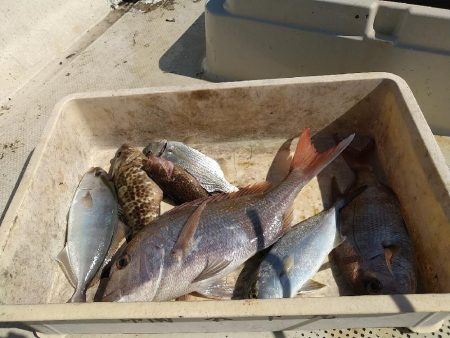 初めてのレンタルボート船長で☆