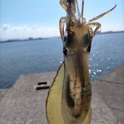 快晴の日は渋め？