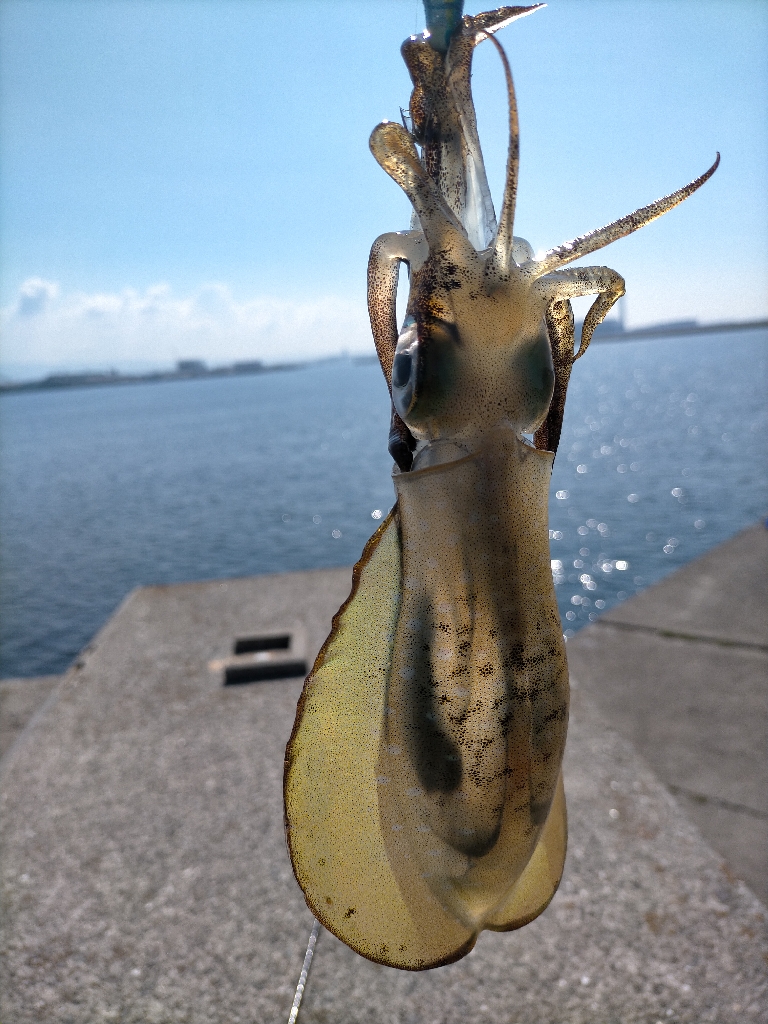 快晴の日は渋め？