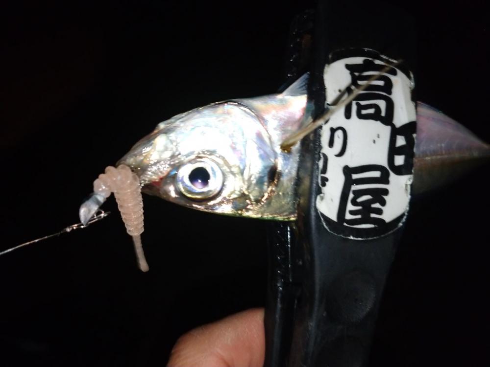 姫アジチャレンジ