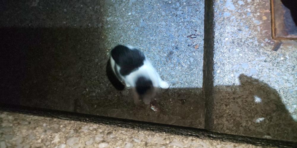 エギングシーズンにてまさかの釣果が！！