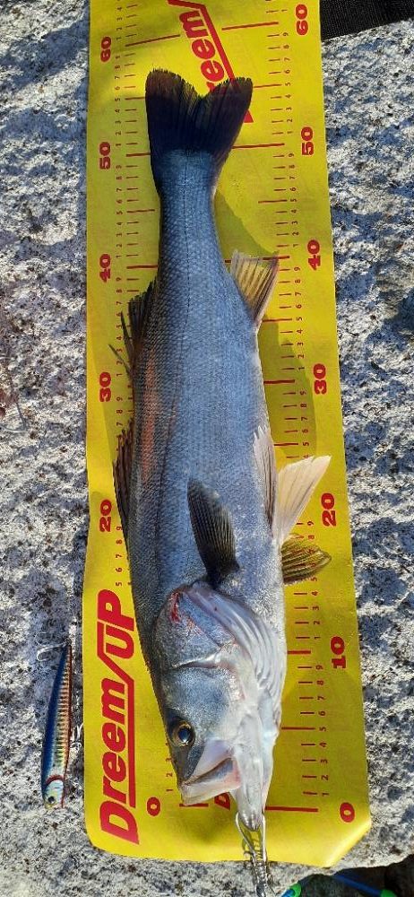 トップの醍醐味😊