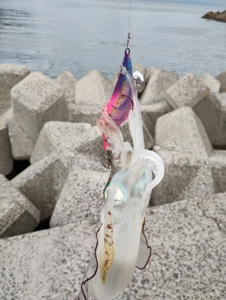 和歌山まで遠征したけど