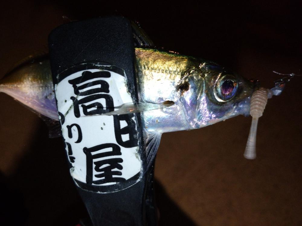 今夜はテクニカル