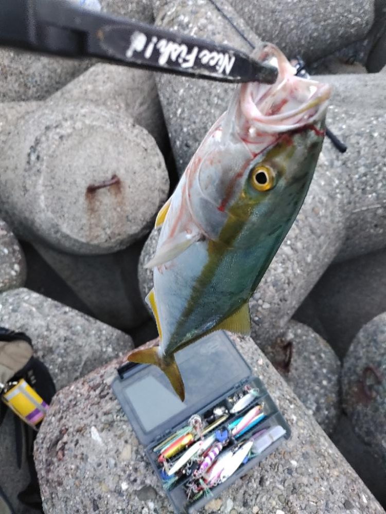 ショアジギング