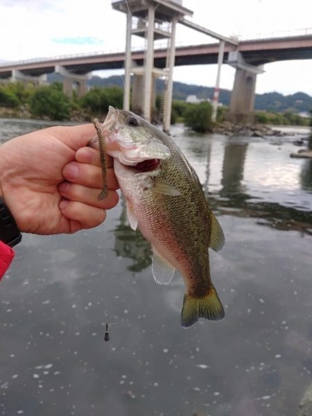 ライトリグ練習