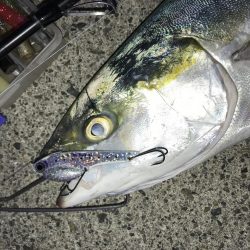 ゆうまづめの一瞬のチャンスで！