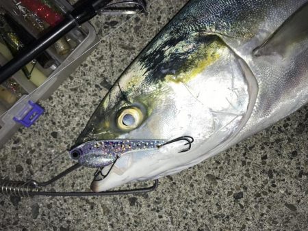 ゆうまづめの一瞬のチャンスで！