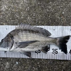 イチノ兄弟、釣果!