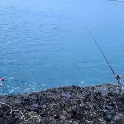 和歌山県串本　須江の磯で石鯛釣り