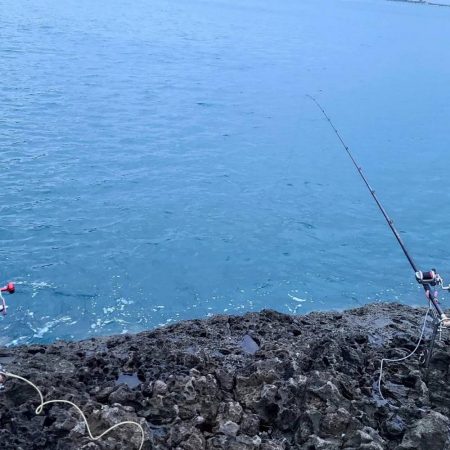 和歌山県串本　須江の磯で石鯛釣り