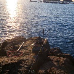 DAIWAマスターズ串本大会　予選