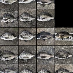 イチノ兄弟、釣果！