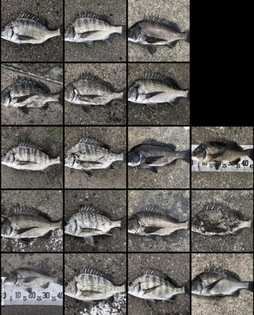 イチノ兄弟、釣果！