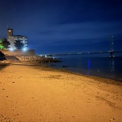 青物を求めて漆黒の闇に紛れての弾丸ツアー