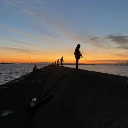 渋めの中サゴシ