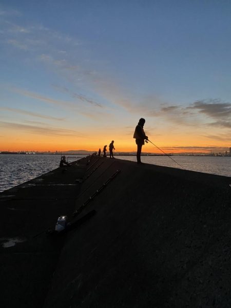 渋めの中サゴシ