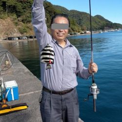 カワハギ仕掛けで五目釣り