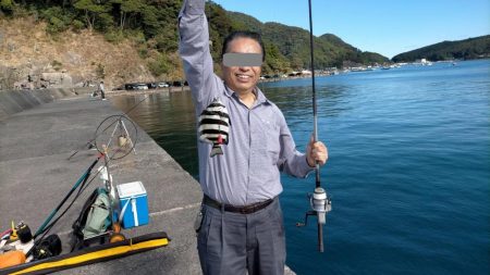 カワハギ仕掛けで五目釣り