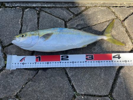 渋いながらも…