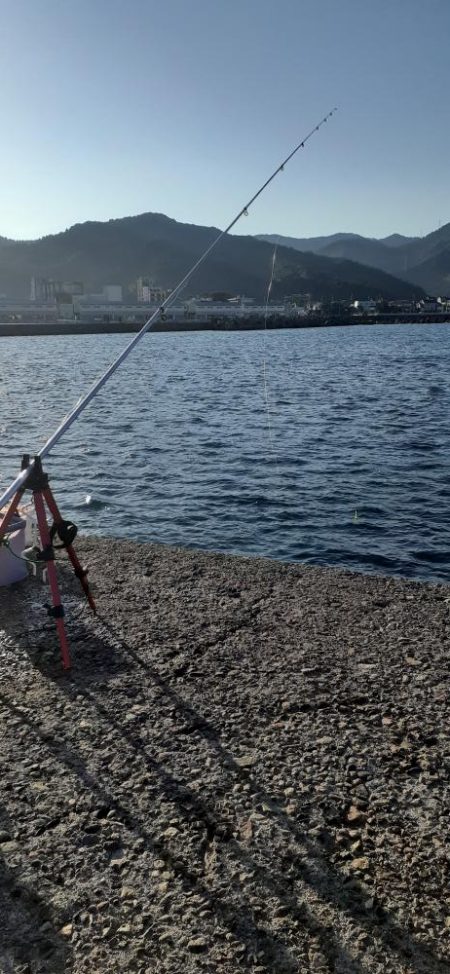 デカアジ目指して