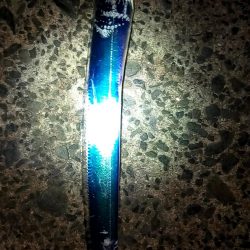 やっと釣れた！タチウオ