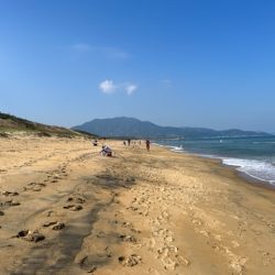 秋の新松原海岸はピンギスしかいませんでした