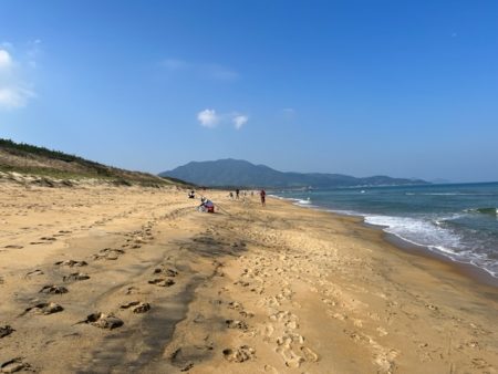 秋の新松原海岸はピンギスしかいませんでした