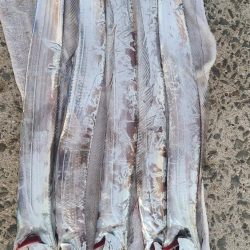 2時っチャオ(AM)