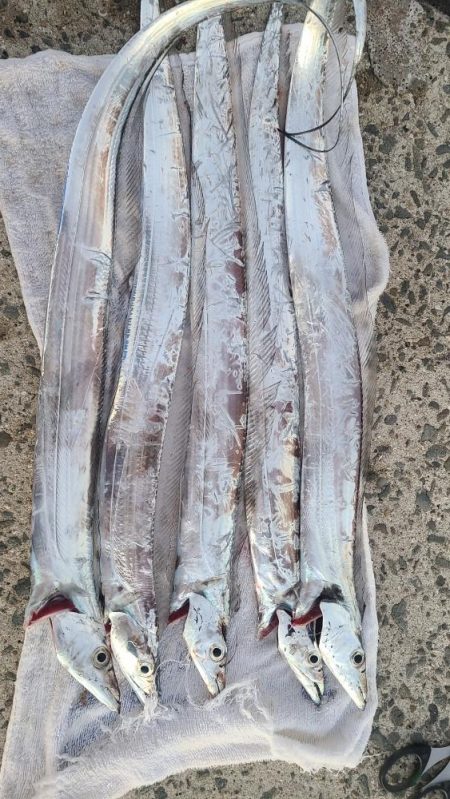 2時っチャオ（AM）