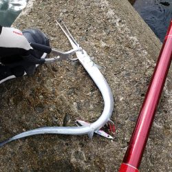 底モン、青モン狙い出撃