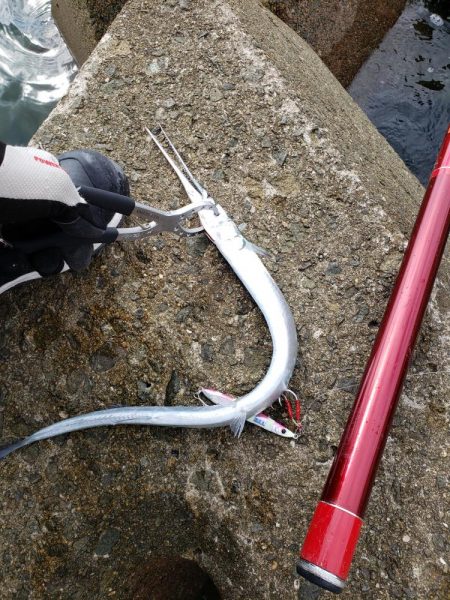 底モン、青モン狙い出撃