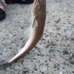 最近、絶好調です。