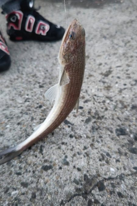 最近、絶好調です。