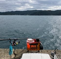 カゴ釣りでイサギ