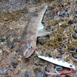 プチsalt water game