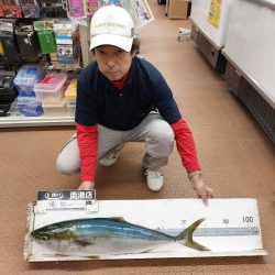 夕暮れのプチsalt water game