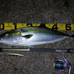 夕暮れのプチsalt water game