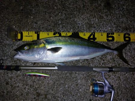 夕暮れのプチsalt water game…