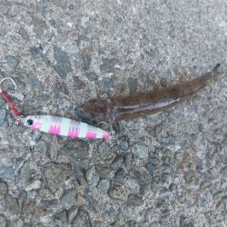 プチsalt water game