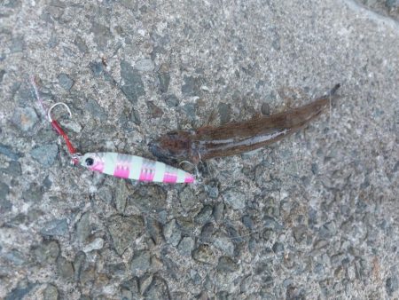 プチsalt water game