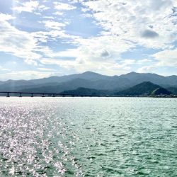 サヨリに会いたくて