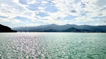 サヨリに会いたくて