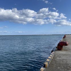 胴突き釣りでまさかの良型のドンコ!!!