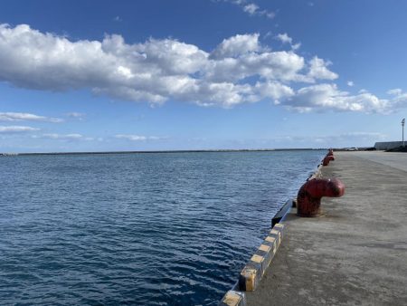 胴突き釣りでまさかの良型のドンコ!!!