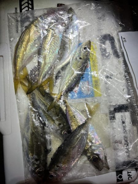 雨降ってますが釣り友とアジングɡ…