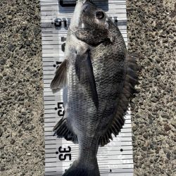 イチノ兄弟(兄)、釣果!