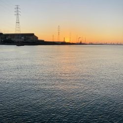 久々の高級魚^_^